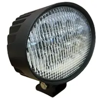 Oval LED Light